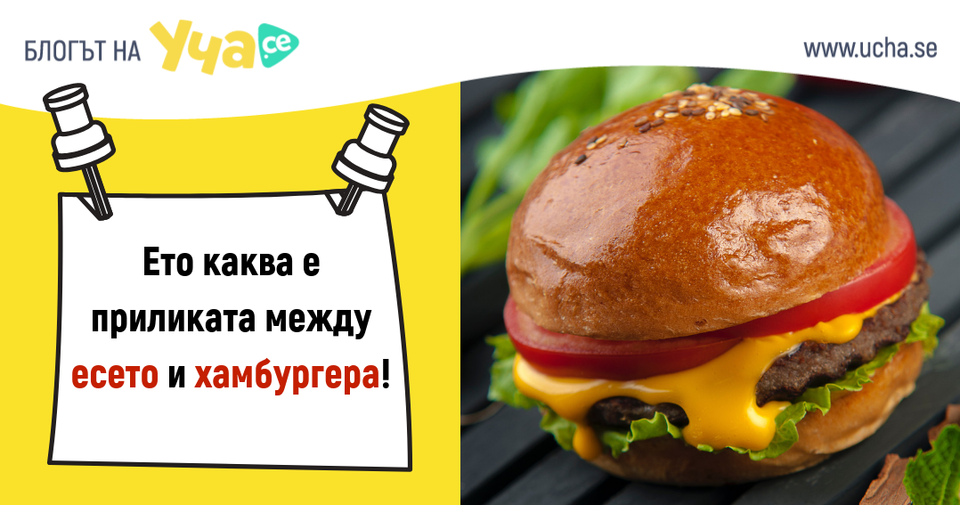 По какво едно есе прилича на хамбургер?